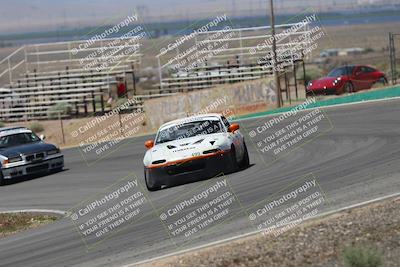 media/May-03-2025-Lucky Dog Racing (Sat) [[206de64b9d]]/Turn 4 B (1150am-130pm)/